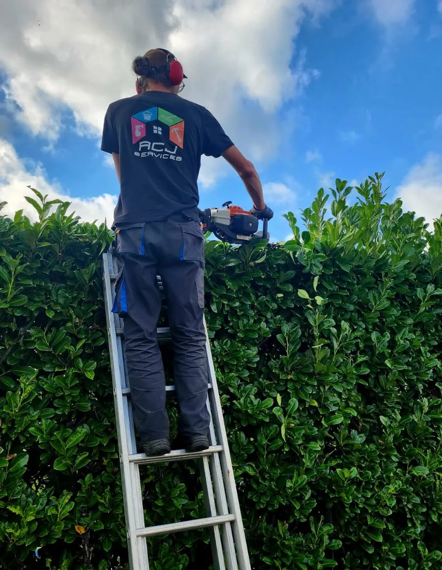 Jardinage ACJ Services Lens